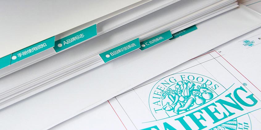 泰豐食品品牌設計—手冊設計展示（一）